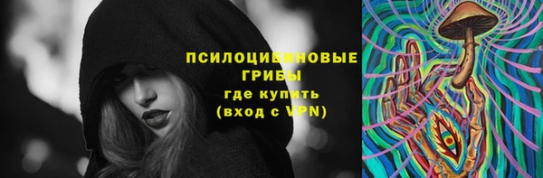 индика Абинск