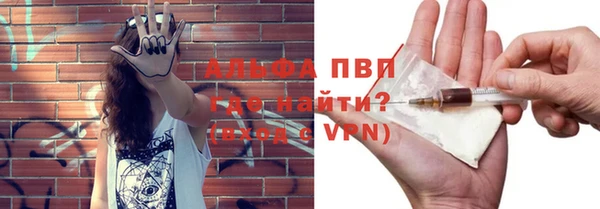 индика Абинск
