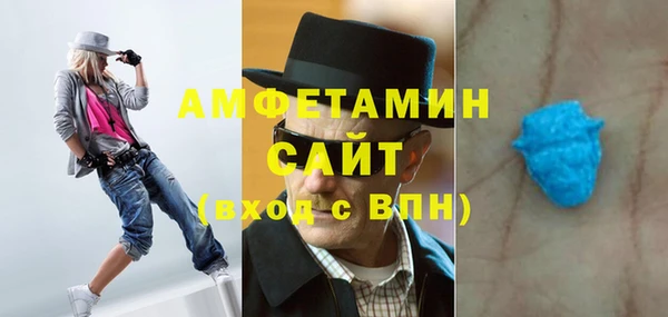 индика Абинск