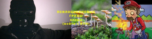 тгк Абдулино
