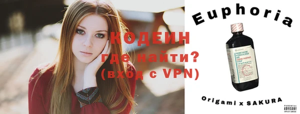 индика Абинск