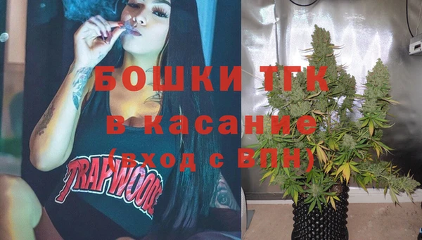 индика Абинск