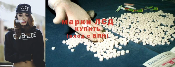 индика Абинск